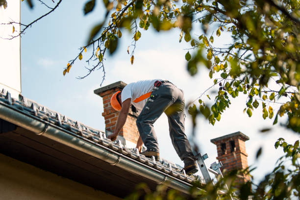 Best Gutter Installation and Roofing  in Fox Farm College, WY