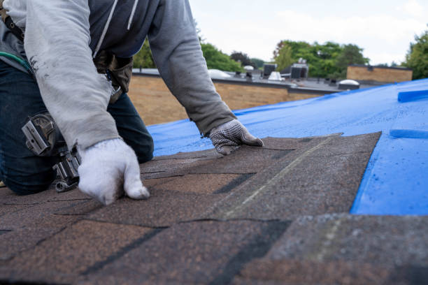 Best Shingle Roofing Installation  in Fox Farm College, WY