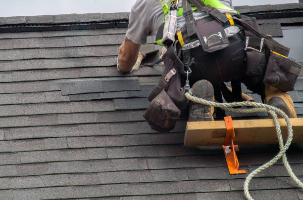 Roof Gutter Cleaning in Fox Farm College, WY