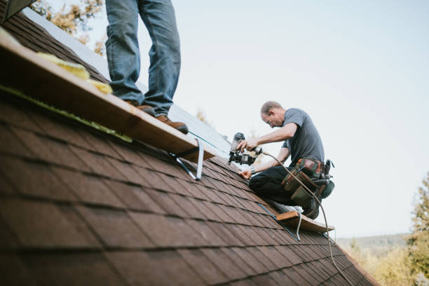 Best Roof Repair Services  in Fox Farm College, WY